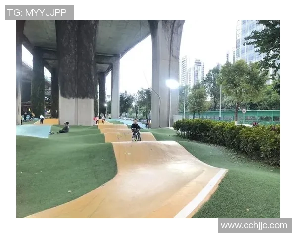 武汉极限运动队揭秘：技术与激情交融的极限挑战之旅